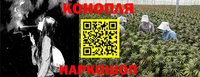 хмурый Гай