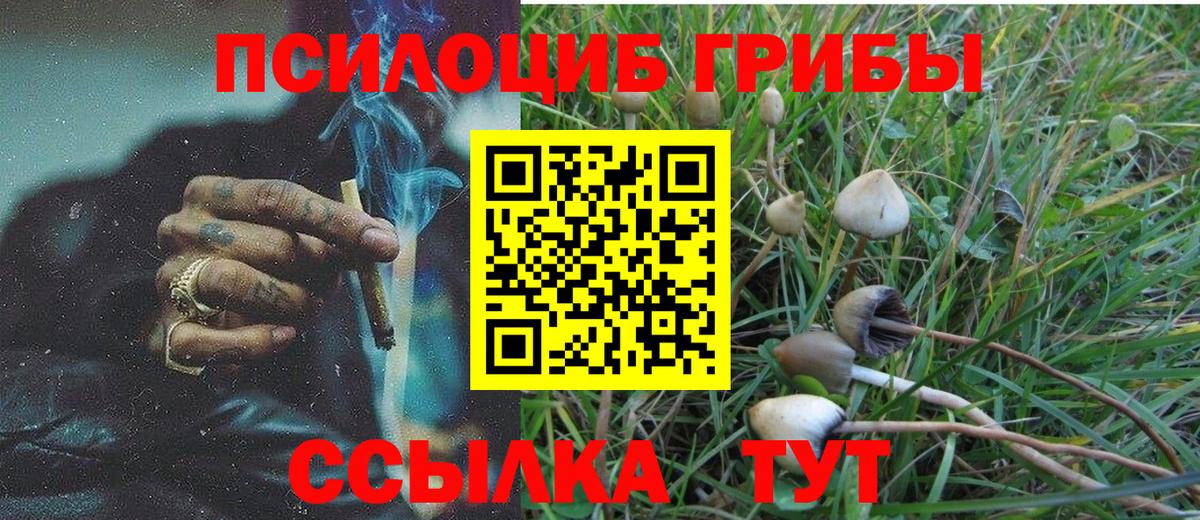 Галлюциногенные грибы Magic Shrooms  Галлюциногенные грибы GOLDEN TEACHER  Вход с VPN  Коряжма 
