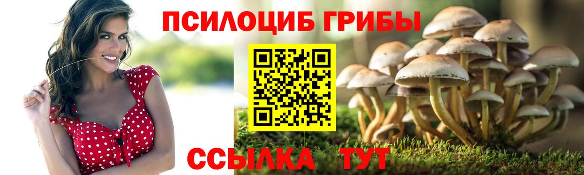 Где продают наркотики?  Гашиш  Бошки Шишки  A-PVP СОЛЬ   ТГК  Гашиш  Мефедрон   Коряжма  Вход с VPN  Cocaine 